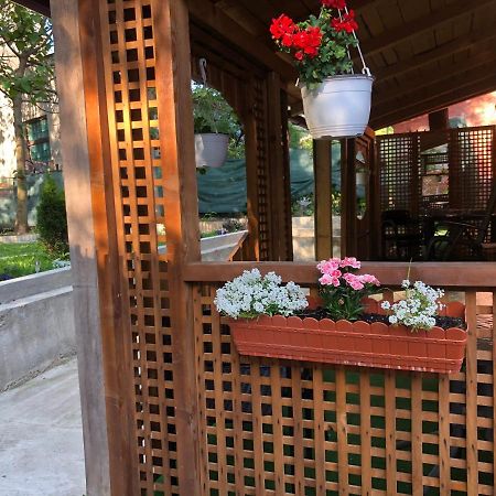 Casa Anina Ξενοδοχείο Εξωτερικό φωτογραφία