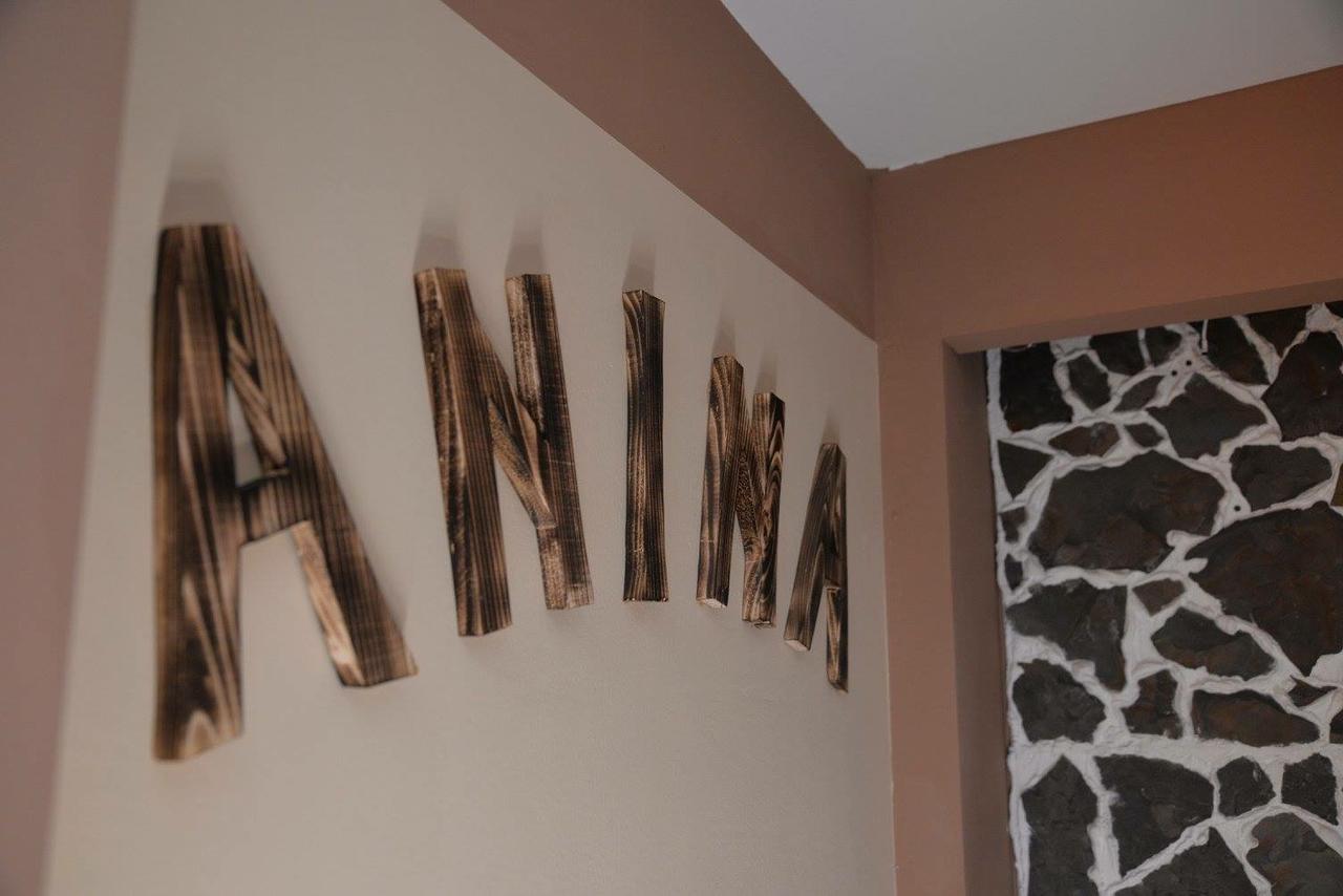 Casa Anina Ξενοδοχείο Εξωτερικό φωτογραφία