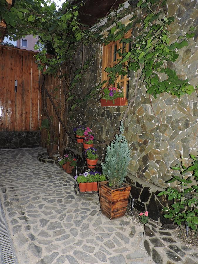 Casa Anina Ξενοδοχείο Εξωτερικό φωτογραφία
