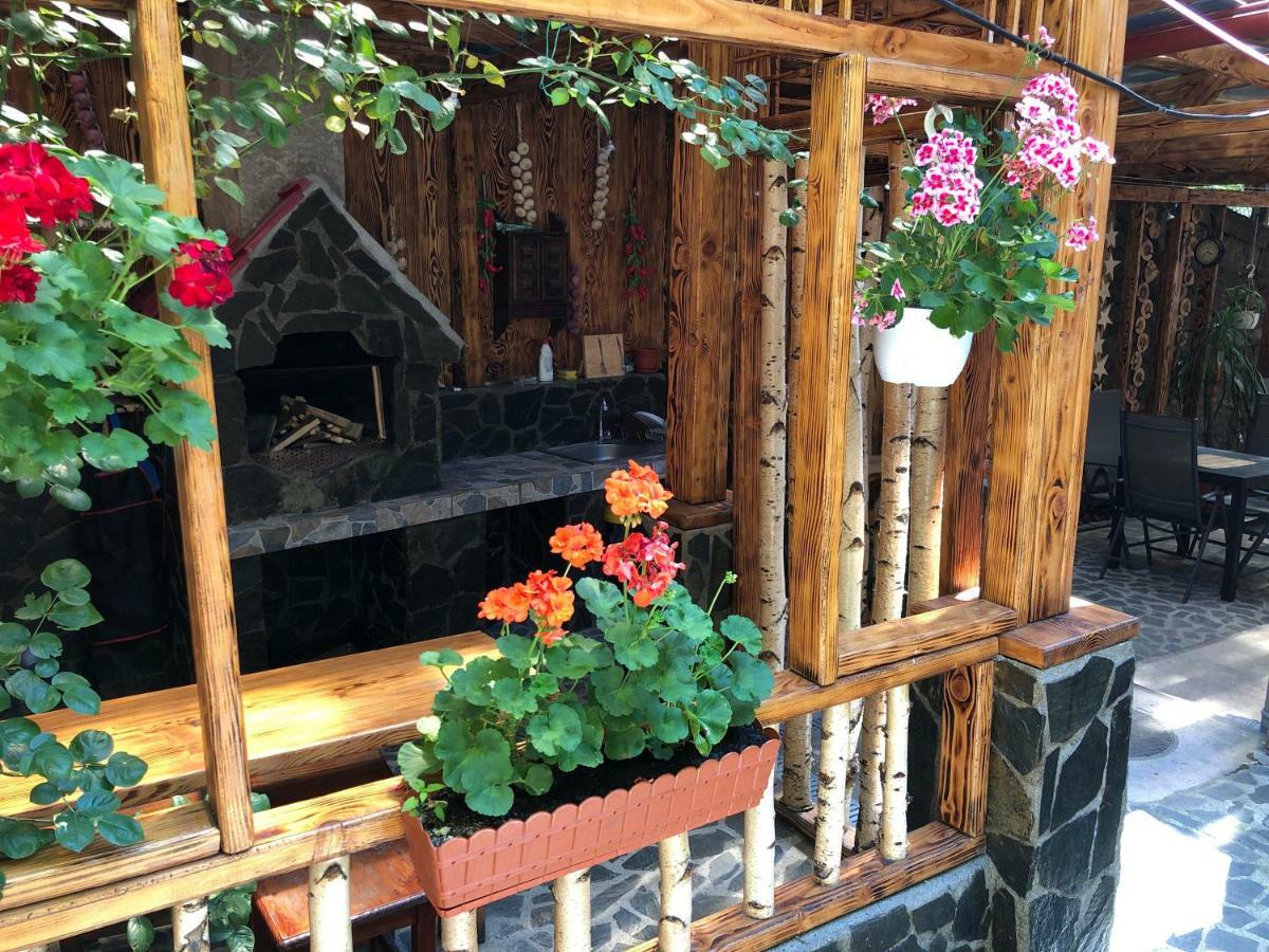 Casa Anina Ξενοδοχείο Εξωτερικό φωτογραφία